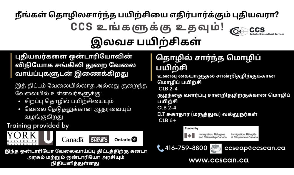 Catholic Cross Cultural Services - Image 2