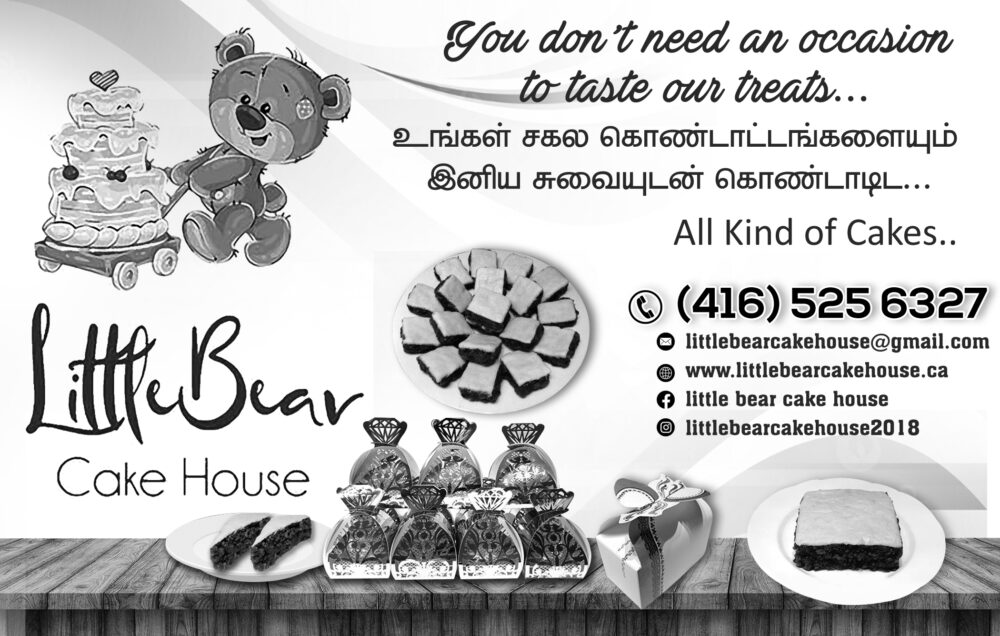 Little Bear House
