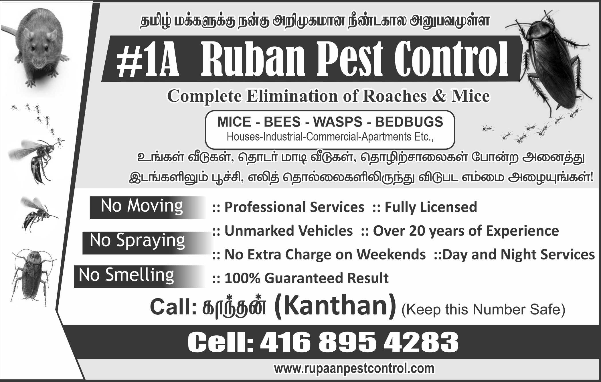 #1 A Ruban Pest Control